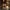 Harrington - Whisky Glass