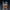 Oxford – Whisky Glass